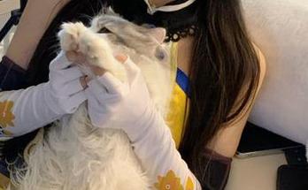 在Umeko J私房写真合集里，明日奈和你分享梦幻与现实的完美交融！.txt